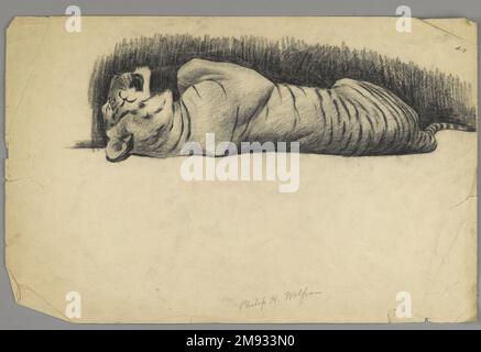 Tigre addormentata Philip H. Wolfrom (americano, 1870-1904). Sleeping Tiger, n.d. Carbone su carta, foglio: 12 7/8 x 19 3/4 poll. (32,7 x 50,2 cm). Arte americana n.d. Foto Stock