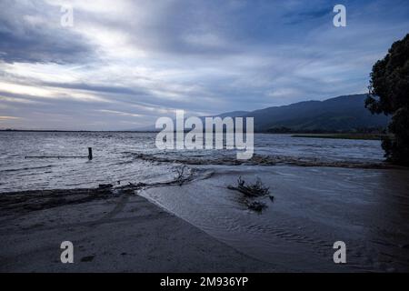 Il fiume Salinas trabocca le sue rive e si allaga nei campi agricoli dopo una serie di eventi fluviali suggestivi in California Foto Stock