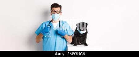 Divertente cane nero pug indossare maschera medica, seduto vicino bel medico veterinario mostrando pollici-up, sfondo bianco Foto Stock