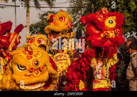 Phnom Penh celebra l'anno della scimmia con la tradizionale danza dei leoni durante le celebrazioni del Capodanno cinese. Phnom Penh, Cambogia. © Kraig Lieb Foto Stock