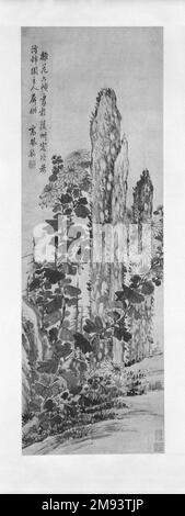 Crisantemo e rocce da giardino, Scroll sospeso Gao Fenghan. Crisantemo e rocce da giardino, rotolo sospeso, 18th ° secolo. Inchiostro e colore chiaro su carta, immagine: 47 x 15 1/2 pollici (119,4 x 39,4 cm). Arte asiatica 18th ° secolo Foto Stock