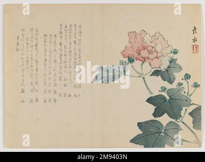 Peony Branch Chôsui Yabu (giapponese, attivo dal 1830 al 1864). , Autunno 1861. Stampa blocco legno; formato orizzontale Chûban yoko-e, 7 1/8 x 9 3/4 pollici (18,1 x 24,8 cm). Arte asiatica Autunno 1861 Foto Stock