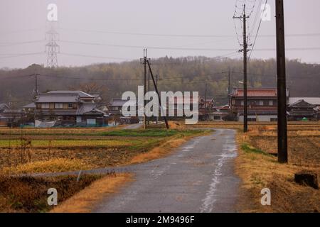 Strada stretta attraverso i campi d'oro nel piccolo villaggio giapponese in un giorno piovoso Foto Stock