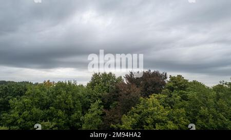 Vista aerea delle cime degli alberi verde scuro nella foresta di abete rosso sotto un cielo nuvoloso e scuro minaccioso. Foto di alta qualità Foto Stock