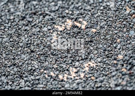 Macro di danni alla grandine su un tetto residenziale in ghiaia cerchiato con un contorno di gesso durante un'ispezione domestica. Foto Stock