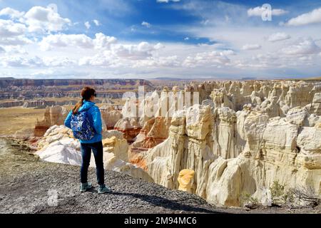 Giovane escursionista femminile ammirando le vedute delle splendide formazioni di arenaria a strisce del Coal Mine Canyon, Arizona, USA. Esplorando il sudovest americano. Foto Stock