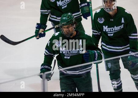 13 gennaio 2023: Mercyhurst Lakers avanti Marko Reifenberger (24) festeggia dopo aver segnato un gol nel terzo periodo contro le Tigri RIT. Il Rochester Institute of Technology Tigers ha ospitato i Mercyhurst University Lakers in una conferenza atlantica della NCAA Division 1 al gene Polisseni Center di Rochester, New York. (Jonathan Tenca/CSM) Foto Stock