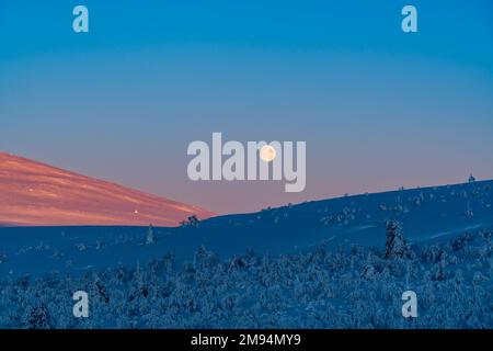 Scendi la luna al mattino all'alba al Parco Nazionale Pallas-Yllästunturi, Muonio, Lapponia, Finlandia Foto Stock