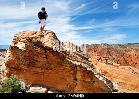 Giovane escursionista maschile ammirando la vista panoramica delle meravigliose formazioni di arenaria rossa e bianca di Yant Flat nello Utah, USA. Esplorando il sudovest americano. Foto Stock