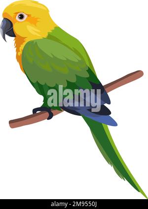 Pappagallo colorato seduto sul ramo, uccello ritratto Illustrazione Vettoriale