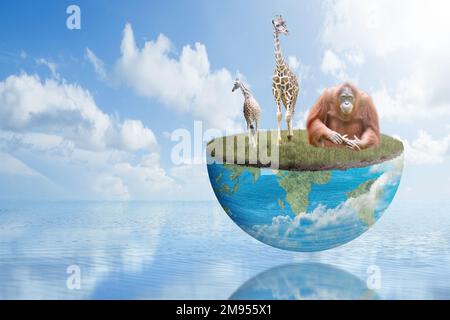 Fauna selvatica in natura. Giornata mondiale della fauna selvatica Foto Stock