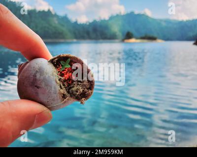 Laghi di Montebello, Chiapas, Messico vicino al confine guatemalteco Foto Stock