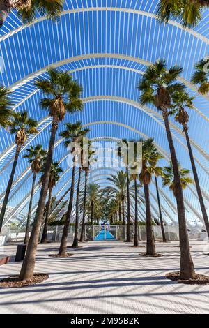 Valencia, Spagna - 17 febbraio 2022: Ciutat de les Arts i les Ciencies con l'Umbracle edificio architettura moderna di Santiago Calatrava ritratto per Foto Stock