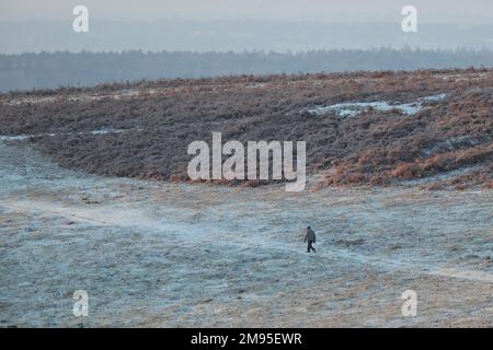 Leicestershire, Inghilterra, 2023. Tempo nel Regno Unito: Durante la notte il gelo ha visto una fredda alba sulla zona di Bradgate Park della città. Credit: James Holyoak/Alamy Live News Foto Stock