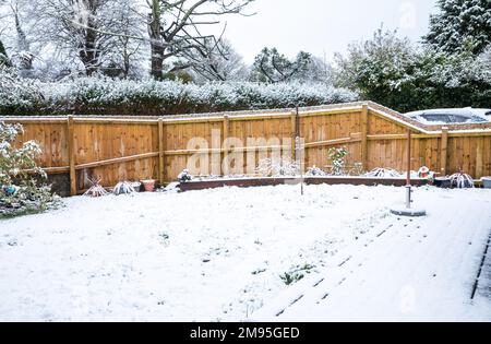 Truro, UK, 17th gennaio 2023, questa mattina c'era un'abbondante copertura di neve in un giardino a Truro, in Cornovaglia, cosa insolita per la zona. Le scuole locali hanno ritardato l'apertura e alcune sono chiuse a causa delle condizioni del ghiaccio. La previsione è per una temperatura massima di 5C tutto il giorno con ulteriori docce di neve più tardi oggi o questa sera.Credit: Keith Larby/Alamy Live News Foto Stock