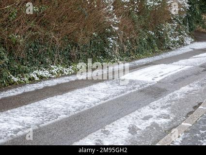 Truro, UK, 17th gennaio 2023, questa mattina c'era un'abbondante copertura di neve in un giardino a Truro, in Cornovaglia, cosa insolita per la zona. Le scuole locali hanno ritardato l'apertura e alcune sono chiuse a causa delle condizioni del ghiaccio. La previsione è per una temperatura massima di 5C tutto il giorno con ulteriori docce di neve più tardi oggi o questa sera.Credit: Keith Larby/Alamy Live News Foto Stock