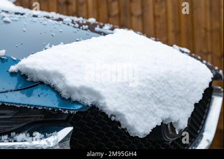 Truro, UK, 17th gennaio 2023, questa mattina c'era un'abbondante copertura di neve in un giardino a Truro, in Cornovaglia, cosa insolita per la zona. Le scuole locali hanno ritardato l'apertura e alcune sono chiuse a causa delle condizioni del ghiaccio. La previsione è per una temperatura massima di 5C tutto il giorno con ulteriori docce di neve più tardi oggi o questa sera.Credit: Keith Larby/Alamy Live News Foto Stock