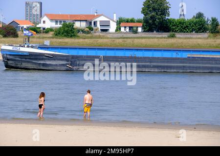 Paesi Bassi,Ooyse Schependom, 23 agosto 2022: Persone sulle rive del fiume Waal, delta del Reno, durante la siccità dell'estate 2022. Persone che nuotano Foto Stock