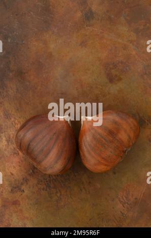 Due castagne marroni mature giacenti su rame antico Foto Stock