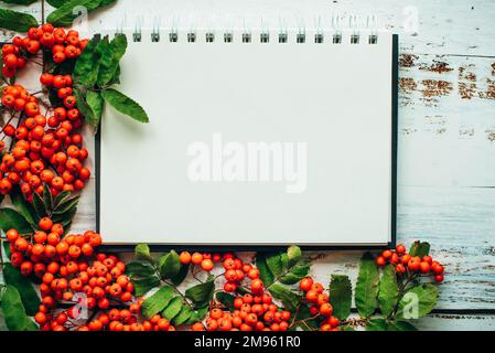 autunno foglie frutta montagna legno fondo piatto Foto Stock