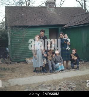 Tre generazioni di una famiglia zingara posa per una fotografia con i loro cani da compagnia Foto Stock