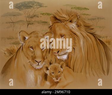 Acquerello dipinto da Malcolm Greensmith di una famiglia di leoni nell'Africa sub-sahariana. Foto Stock