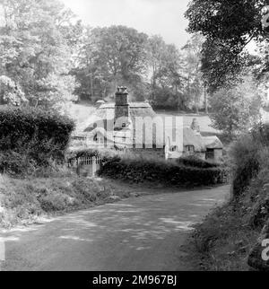 Cottage di paglia su una tranquilla strada di campagna, Devon. Fotografia di Norman Synge Waller Budd Foto Stock