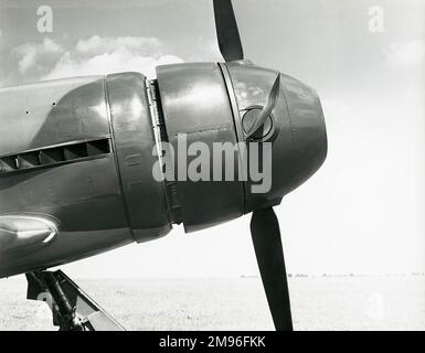 Elica di un velivolo filatore intubato su un Hawker Tempest V, alimentato da un motore Sabre IIB NV768. Foto Stock