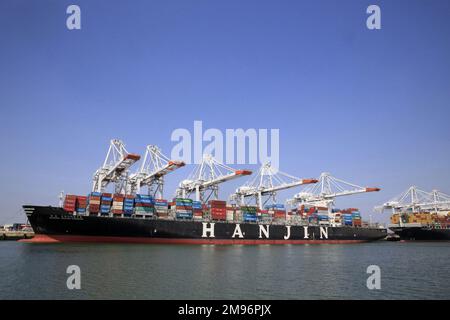 Terminale contenitore. Scaricare una lumaca. Le Havre. Alta Normandia. Senna Marittima. Francia. Europa. Foto Stock