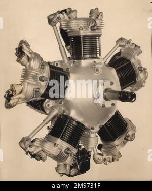 Lambert Aircraft Engine Corporation R-266 a cinque cilindri, radiale 90hp. Foto Stock