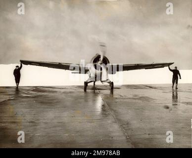 Grumman Martlet i, AX828. Foto Stock