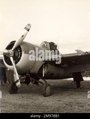 Grumman Martlet i, AX828. Foto Stock