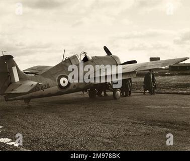 Grumman Martlet i, AX828. Foto Stock