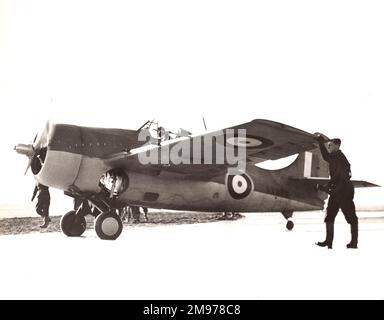 Grumman Martlet i, AX828. Foto Stock