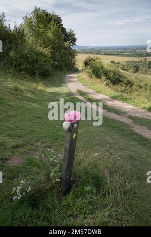 Cappello rosa sul cartello del sentiero su Ridgeway Buckinghamshire Foto Stock