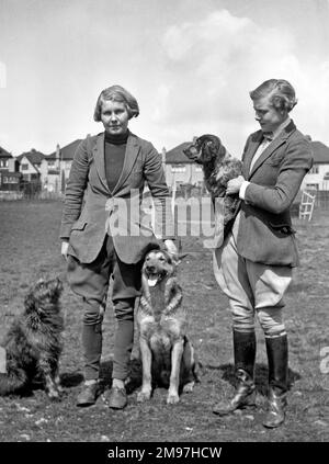 Due donne con tre cani in un campo. Foto Stock