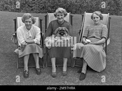 Tre donne sedute in sdraio in giardino, una delle quali con un cane pekingese in grembo. Foto Stock