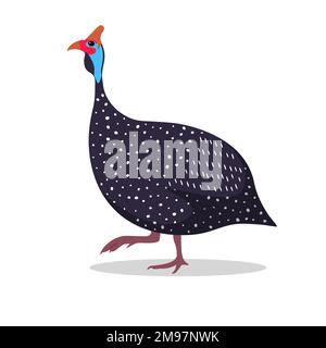 Guinea Fowl Cartoon Flat Illustrazione a piedi Illustrazione Vettoriale