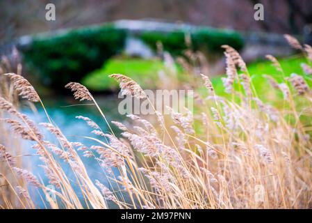 Versailles, Francia - 28 2022 dicembre: Bellissimo giardino nel trianon Palace a Versailles Foto Stock