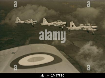 Tre RAF Caccia P56 Provost T1s, WV439, WV443 e WV444. Foto Stock