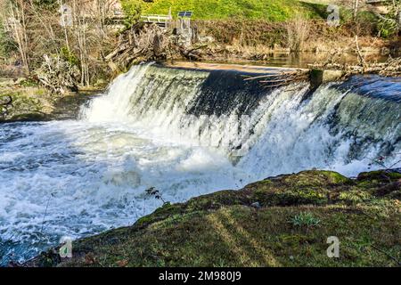 Una vista del Brewery Park con una delle cascate di Tumwater Falls. Foto Stock