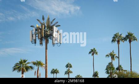 Cell Tower travestito da palme tra vere palme, Indian Wells, California, USA Foto Stock