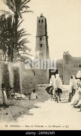 Cavalcata verso la Moschea presso l'Oasi di Filliache. Biskra, Algeria Foto Stock