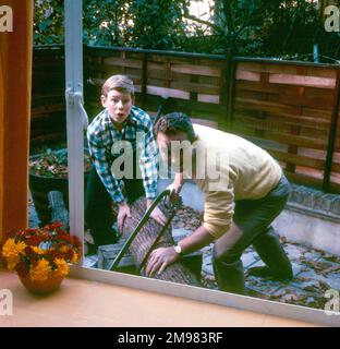 Pubblicità per Ross Frozen Foods -- padre e figlio che segano un log nel giardino posteriore. Foto Stock