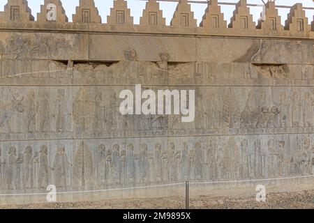 Bassorilievi a palazzo Apadana nell'antica Persepolis, in Iran Foto Stock