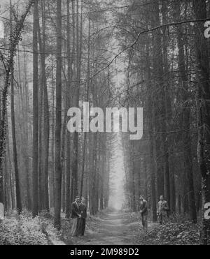 Quattro uomini in piedi su un sentiero nella Foresta di Bere, Hampshire, Inghilterra. Foto Stock