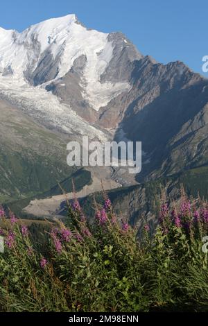 Tramonto sul Monte Bianco. Ghiacciaio di Bionnassay 4 808,73 m. Alta Savoia. Auvergne-Rhône-Alpi. Francia. Europa. Foto Stock