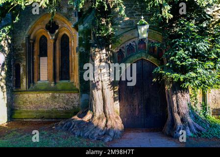 Chiesa medievale di Sant'Edoardo a Stow-on-the-Wold e sagomatura del XIII secolo fiancheggiata da alberi di tasso, Cotswold District of England. Foto Stock