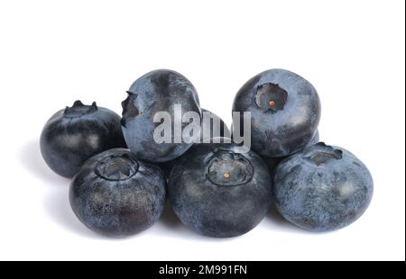 Gruppo di mirtilli dell'highbush settentrionale isolato su sfondo bianco Foto Stock