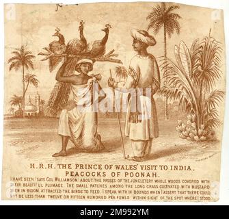 Prince of Wales visita in India nel 1876 - pavoni di Poonah (Pune). Foto Stock